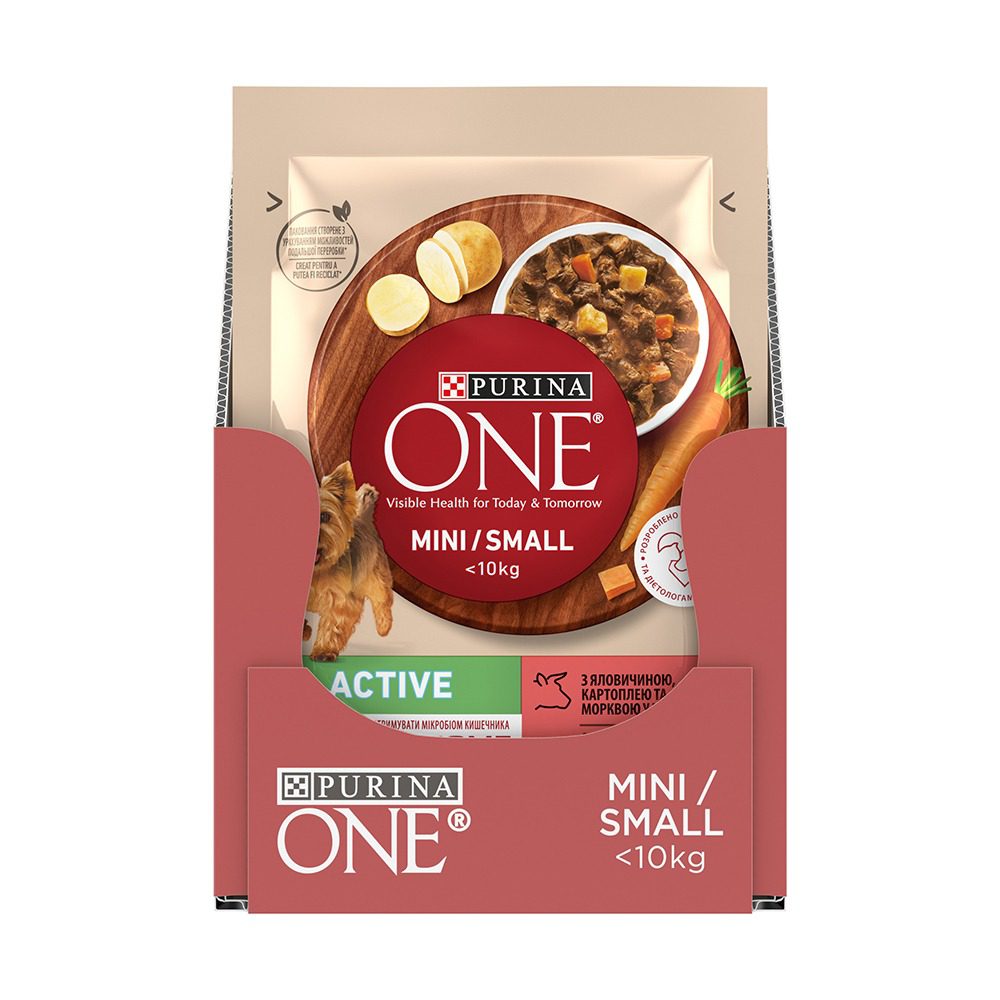 PURINA ONE® MINI Active